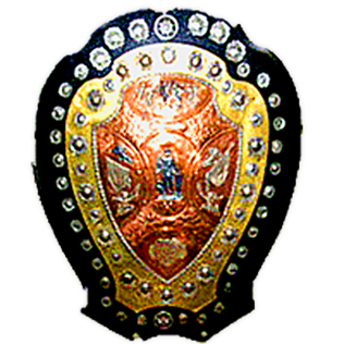 Shield